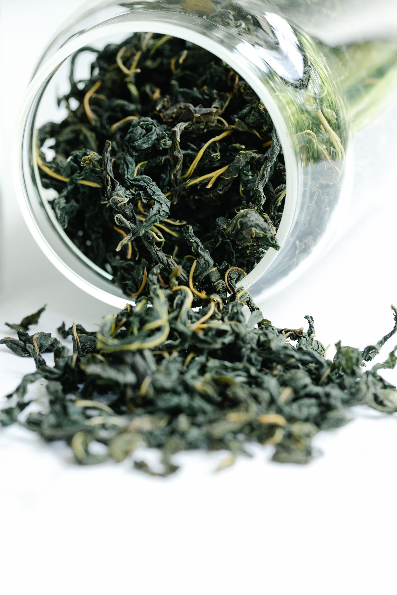Fresh green tea leaves in soft morning light
